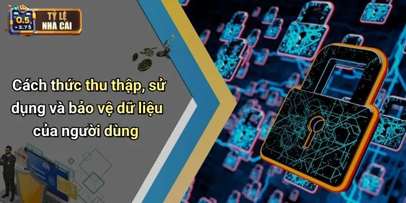 Cách thức thu thập, sử dụng và bảo vệ dữ liệu của người dùng