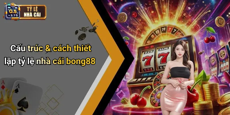Cấu trúc & cách thiết lập tỷ lệ nhà cái bong88