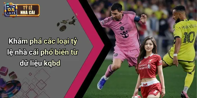 Khám phá các loại tỷ lệ nhà cái phổ biến từ dữ liệu kqbd
