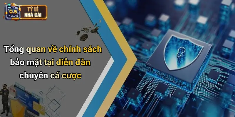 Tổng quan về chính sách bảo mật tại diễn đàn chuyên cá cược