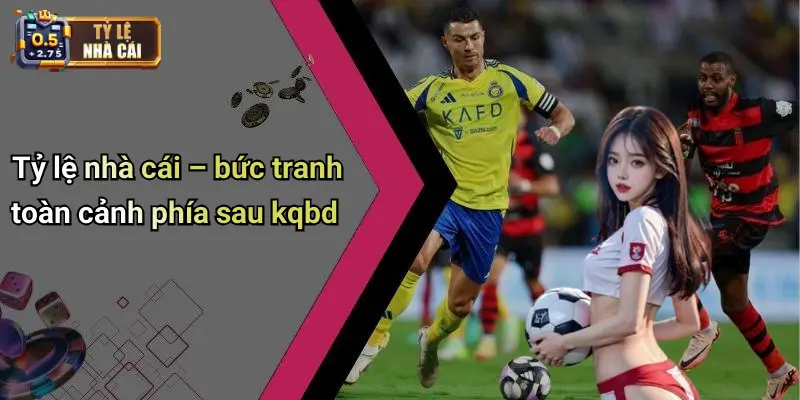 Tỷ lệ nhà cái – bức tranh toàn cảnh phía sau kqbd