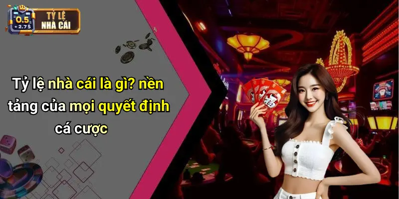 Tỷ lệ nhà cái là gì? nền tảng của mọi quyết định cá cược