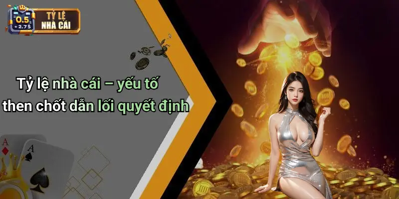 Tỷ lệ nhà cái – yếu tố then chốt dẫn lối quyết định