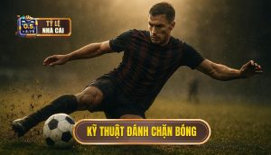 Kỹ thuật đánh chặn bóng