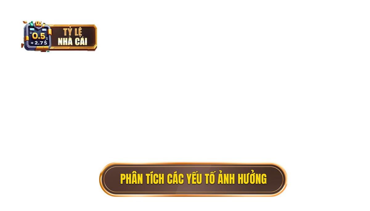 Phân Tích Chuyên Sâu Các Yếu Tố Ảnh Hưởng